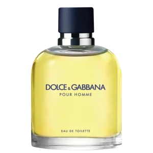 Pour Homme Dolce & Gabbana Eau de Toilette – Perfume Masculino